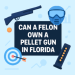Can a Felon Own a Pellet Gun in Florida? 2026