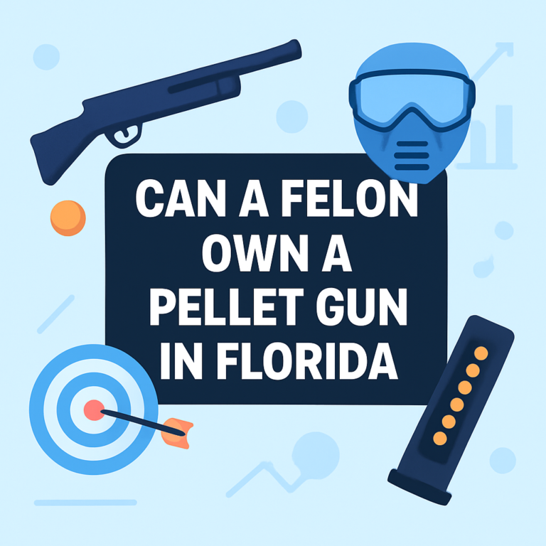 Can a Felon Own a Pellet Gun in Florida? 2026