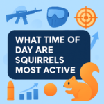 What Time of Day Are Squirrels Most Active? (2026)